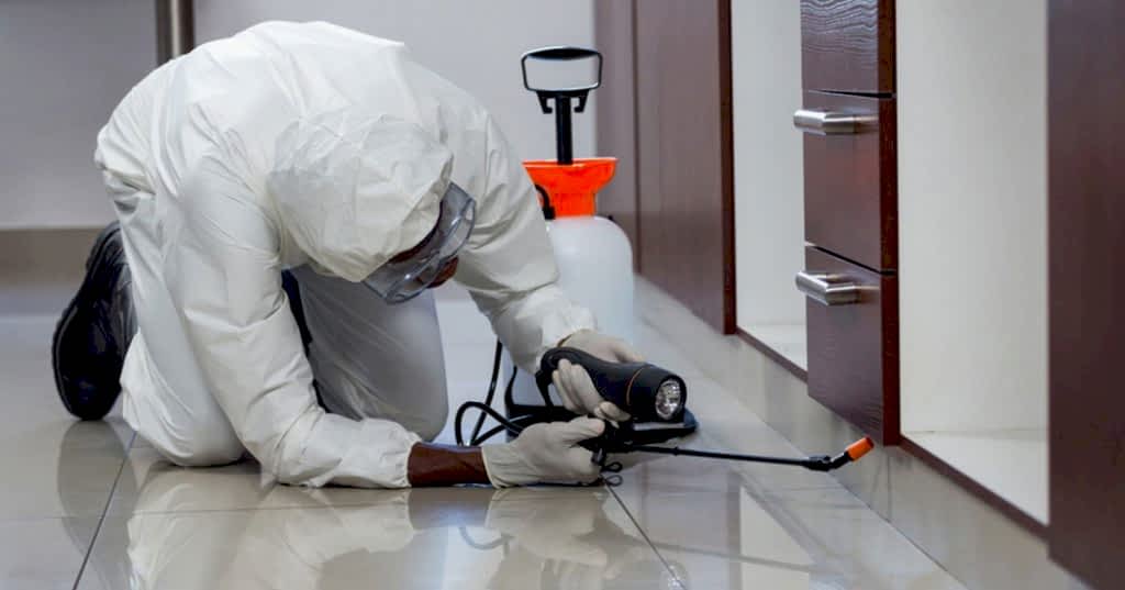 İLAÇLAMA HİZMETLERİ